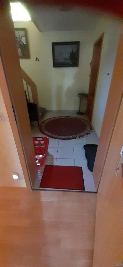 Roetenbacher Wiesen Friedenweiler Екстериор снимка